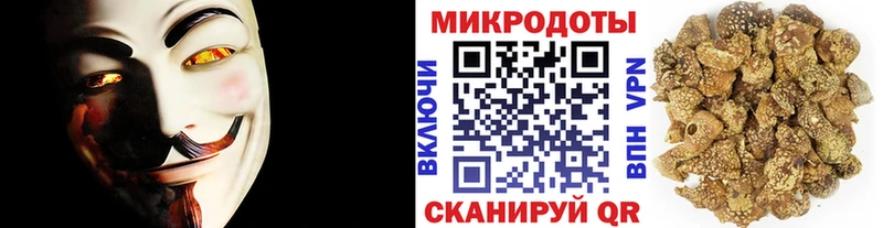 магазин    Елизово  omg вход  Галлюциногенные грибы MAGIC MUSHROOMS 